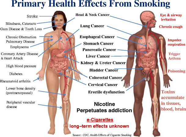 History of Tobacco